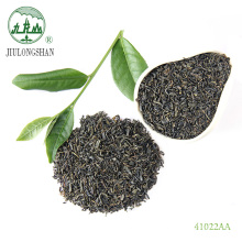 Jiulongshan Suppliers User-Friendly Excellent Material Blended Tea Thai Nguyen Health Green Tea